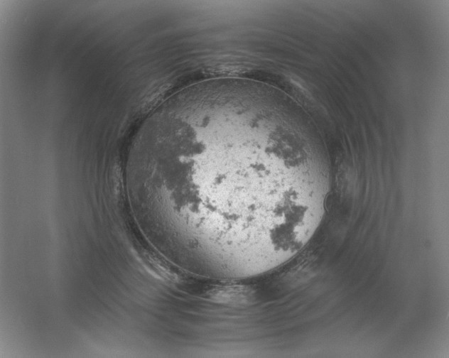 X0000061740459200512161654