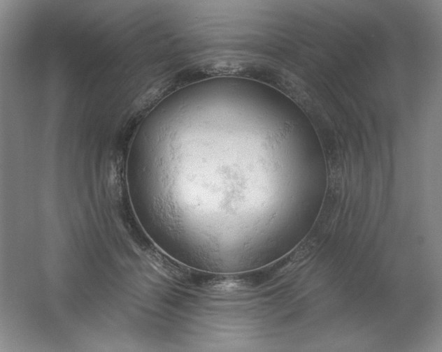 X0000061740460200512161654