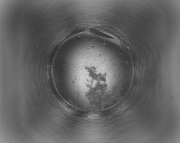 X0000061740462200512161654