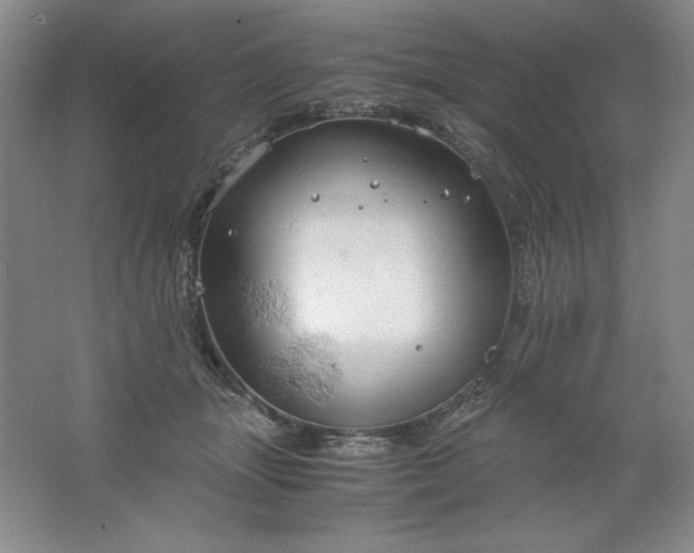 X0000061740463200512161654