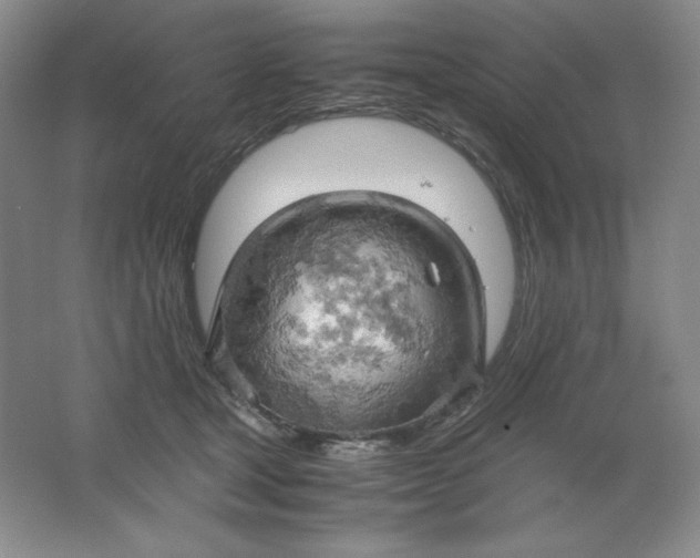 X0000061740465200512161654