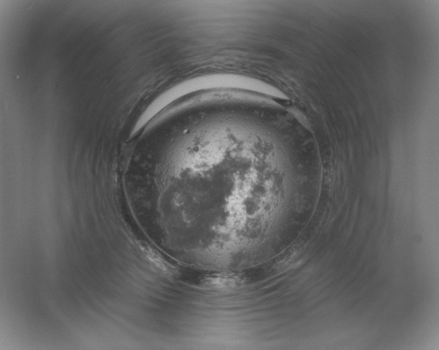 X0000061740466200512161654