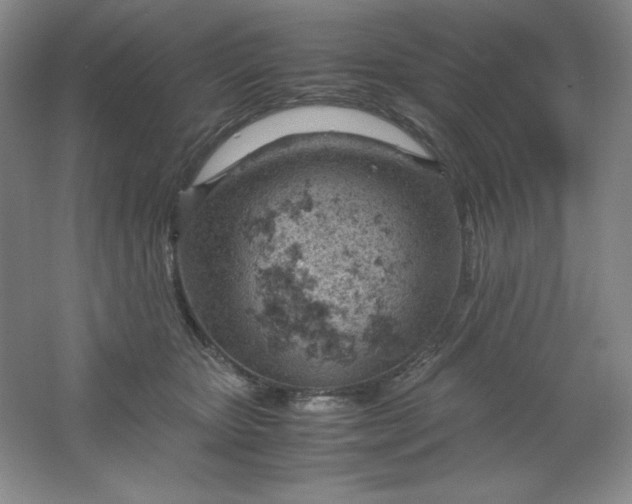 X0000061740467200512161654