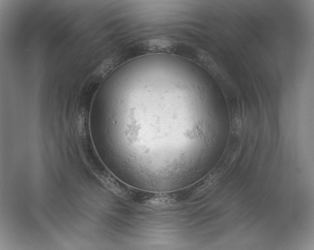 X0000061740468200512161654