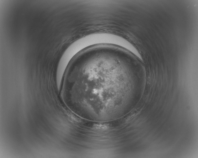 X0000061740469200512161654