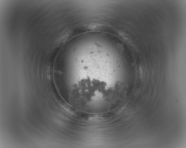 X0000061740470200512161654