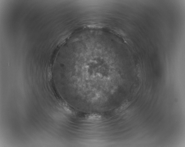 X0000061740471200512161654