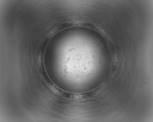 X0000061740472200512161654