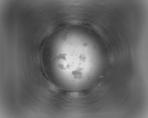 X0000061740473200512161654