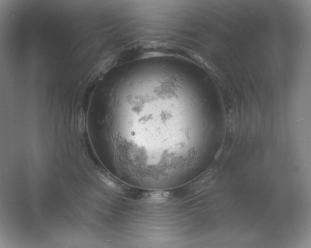 X0000061740474200512161654