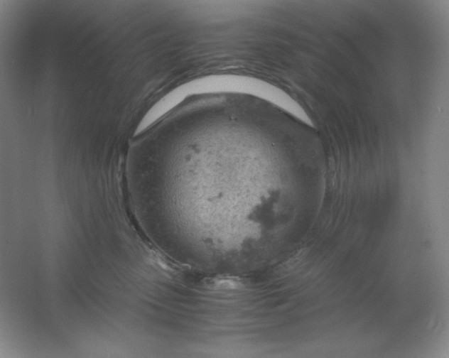 X0000061740475200512161654