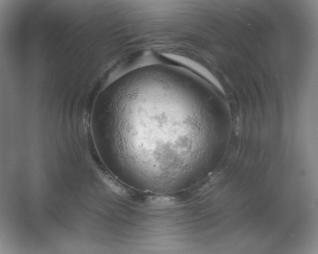 X0000061740476200512161654