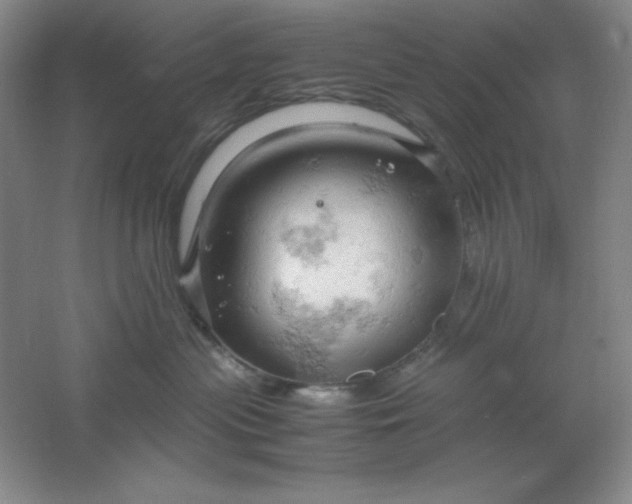 X0000061740477200512161654