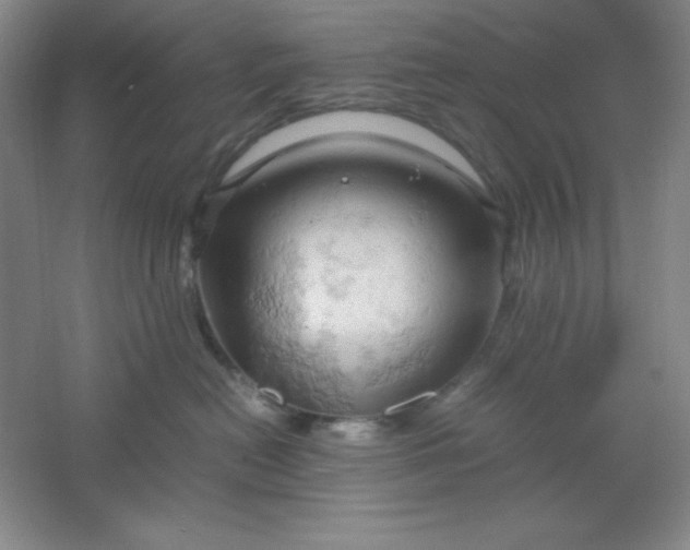 X0000061740478200512161654