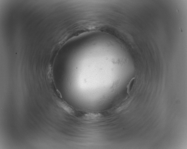 X0000061740480200512161655