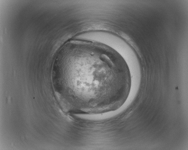 X0000061740481200512161654