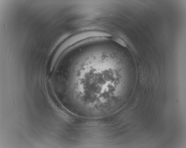 X0000061740482200512161654