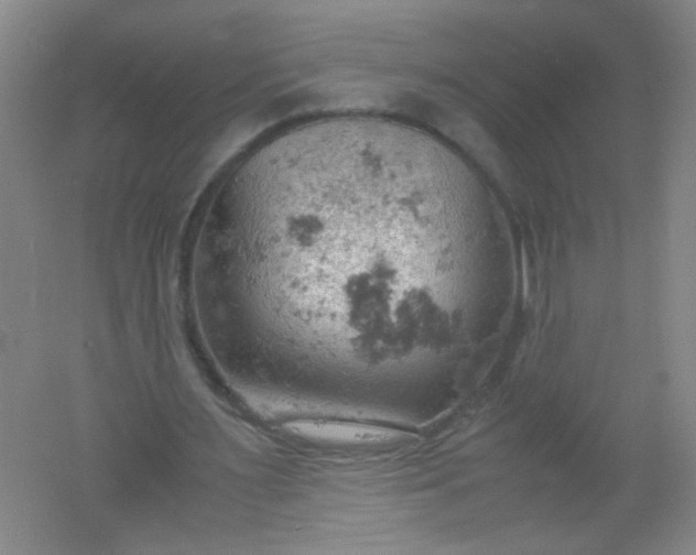 X0000061740483200512161654