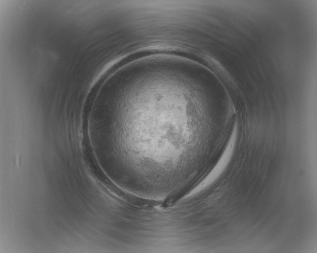 X0000061740484200512161654