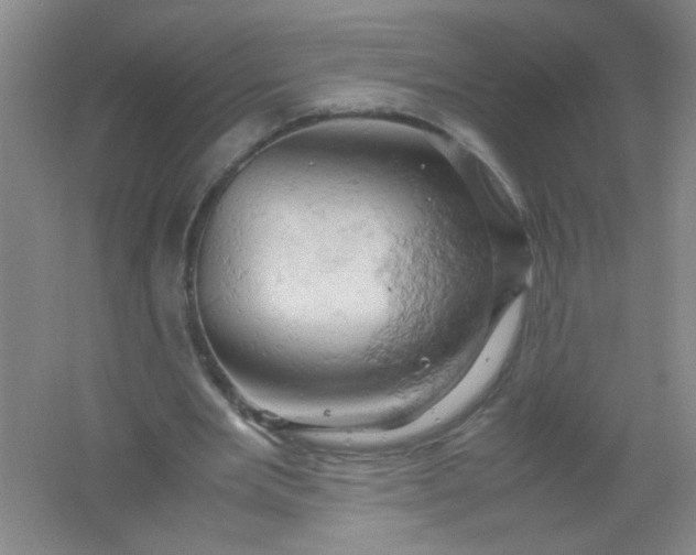 X0000061740485200512161654