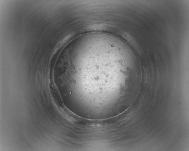 X0000061740486200512161654