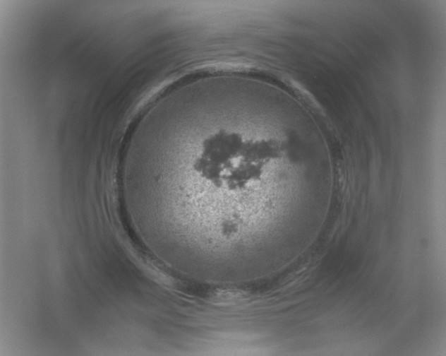 X0000061740487200512161654