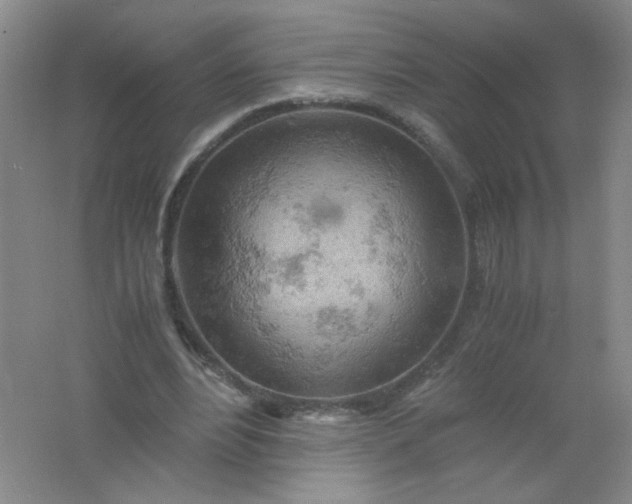 X0000061740488200512161654