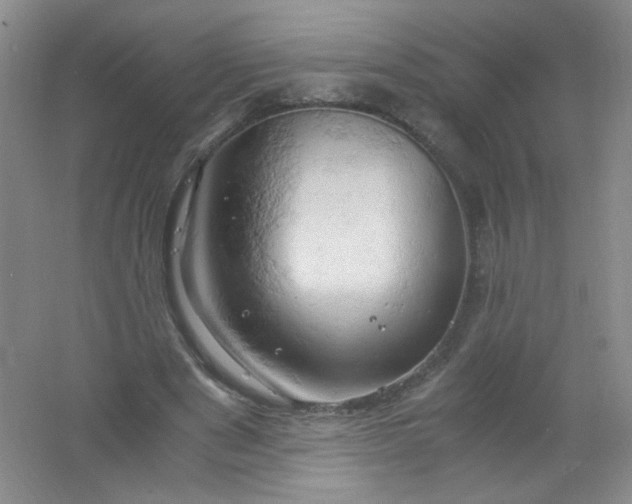 X0000061740489200512161654