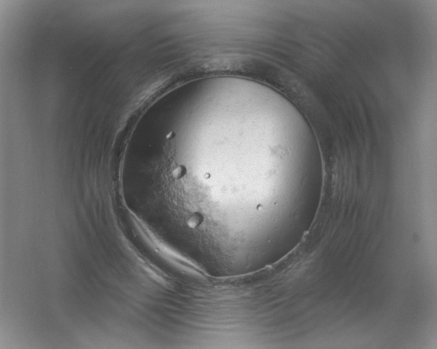 X0000061740490200512161654