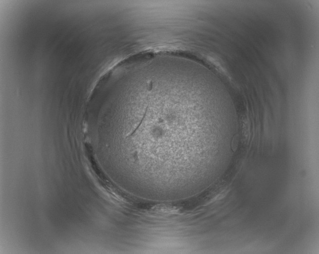 X0000061740491200512161654