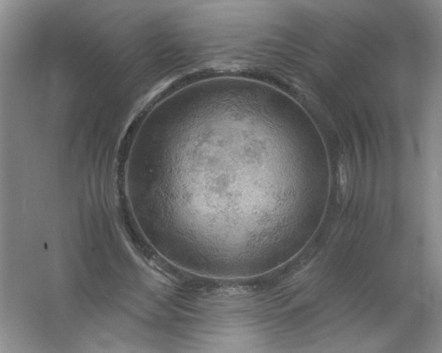 X0000061740492200512161653