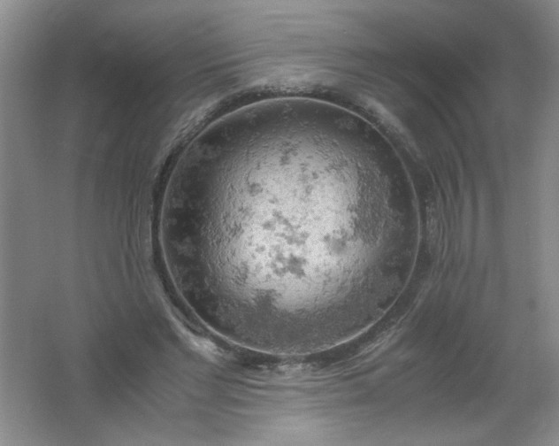 X0000061740493200512161653