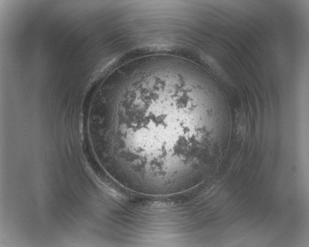 X0000061740494200512161653