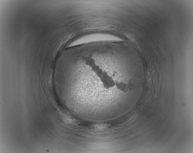 X0000061740495200512161653