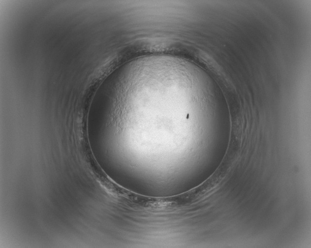 X0000061740497200512161653