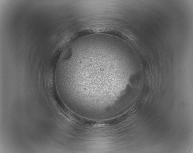 X0000061740499200512161653