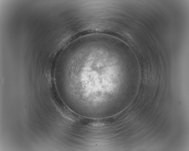 X0000061740500200512161653