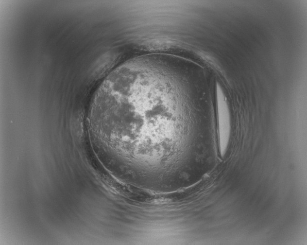 X0000061740501200512161653