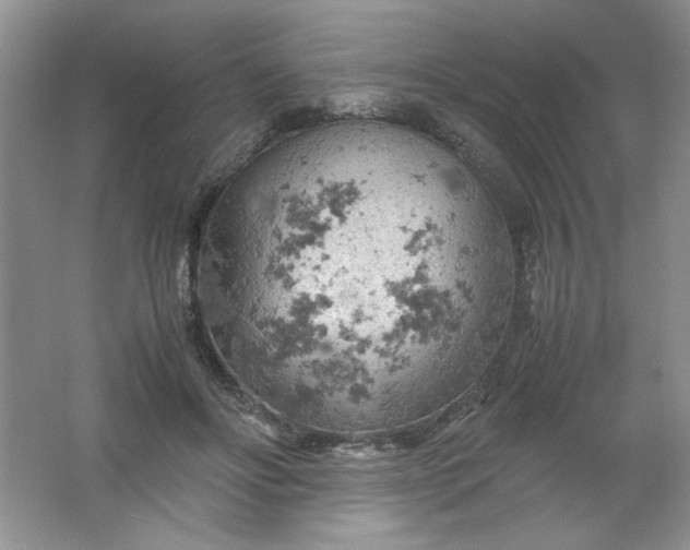 X0000061740502200512161653