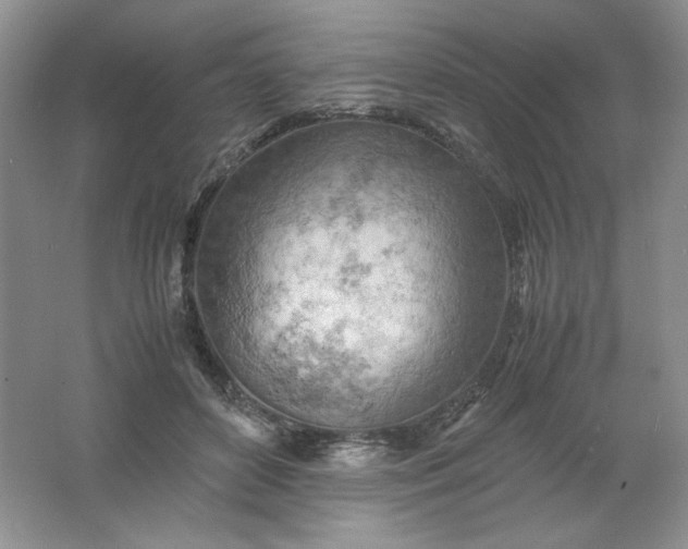 X0000061740504200512161653