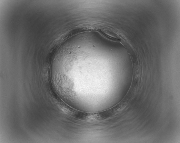 X0000061740505200512161653