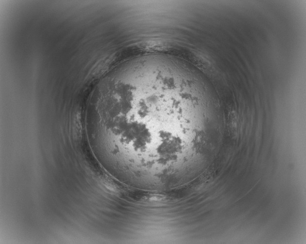 X0000061740506200512161653