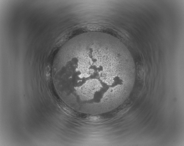 X0000061740507200512161653