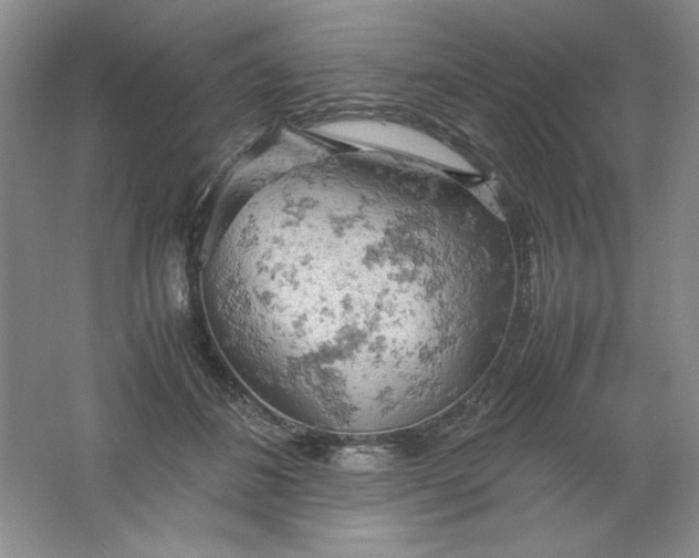 X0000061740508200512161653