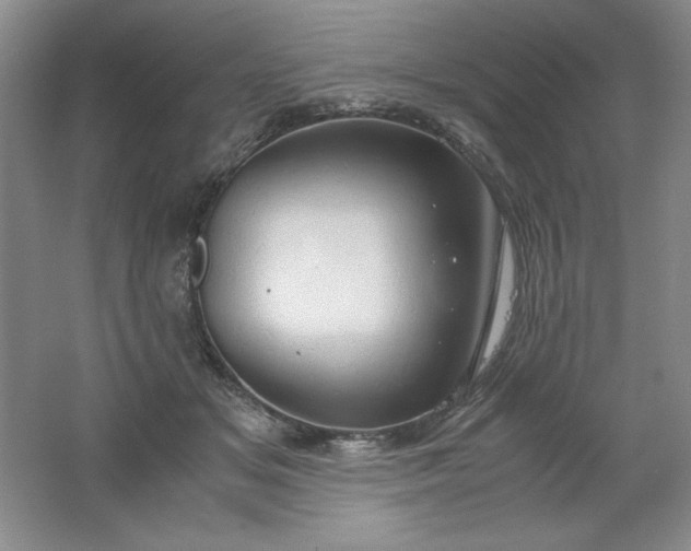 X0000061740509200512161653