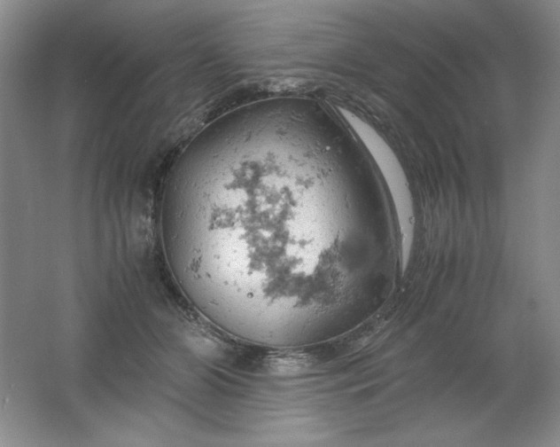 X0000061740510200512161653