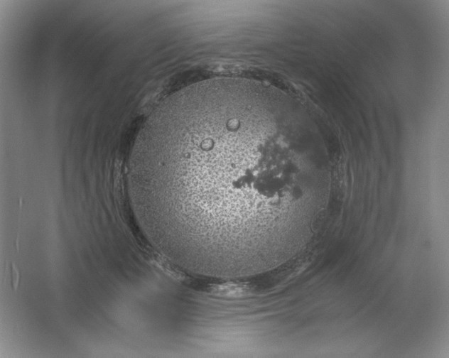 X0000061740511200512161653