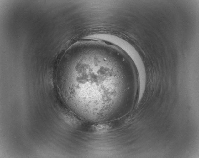 X0000061740512200512161653