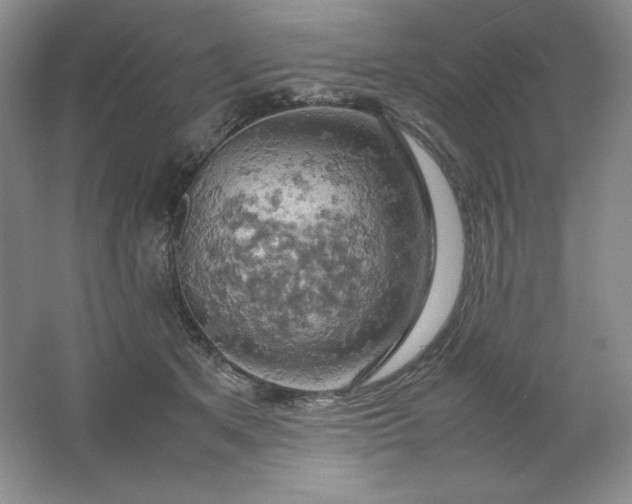 X0000061740513200512161653