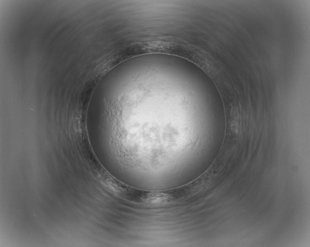 X0000061740514200512161653